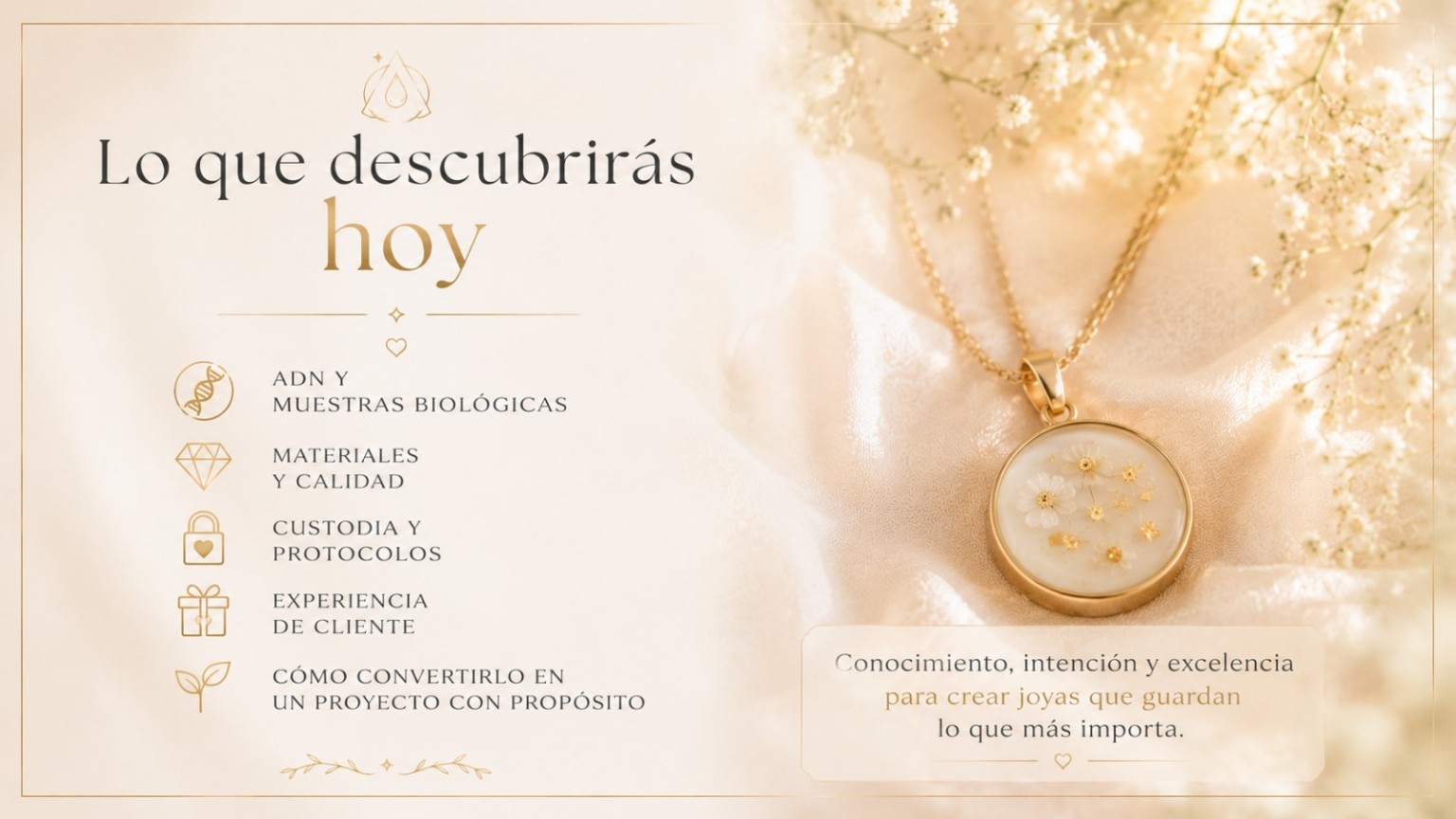 Contenidos que descubrirás en Alquimia de Recuerdos